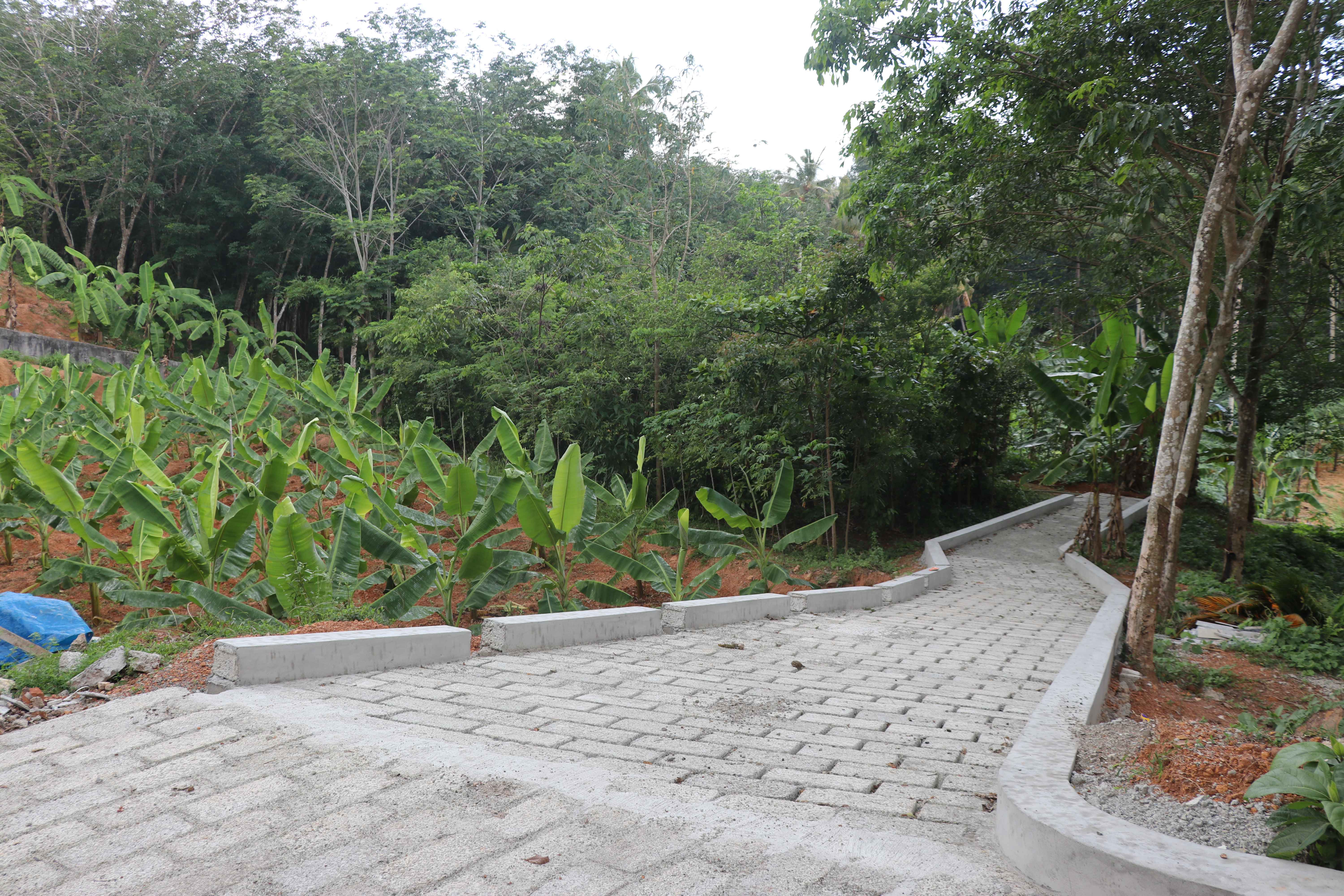 Green Pedestrian Friendly Pathway